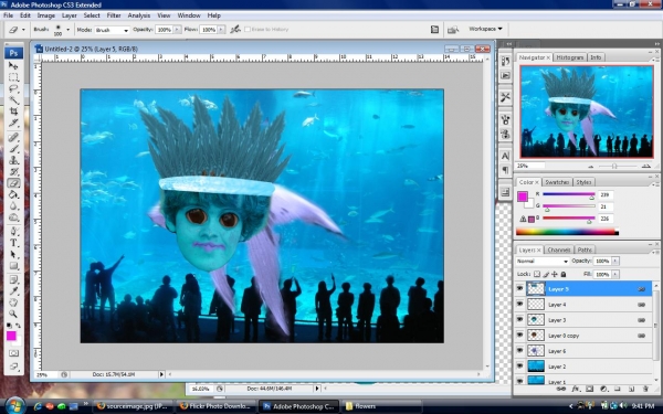 Creation of Pretty Fishy: Step 11